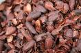 cocoa shells,  cocoa powder,  cocoa bean and coffee bean on sale now 